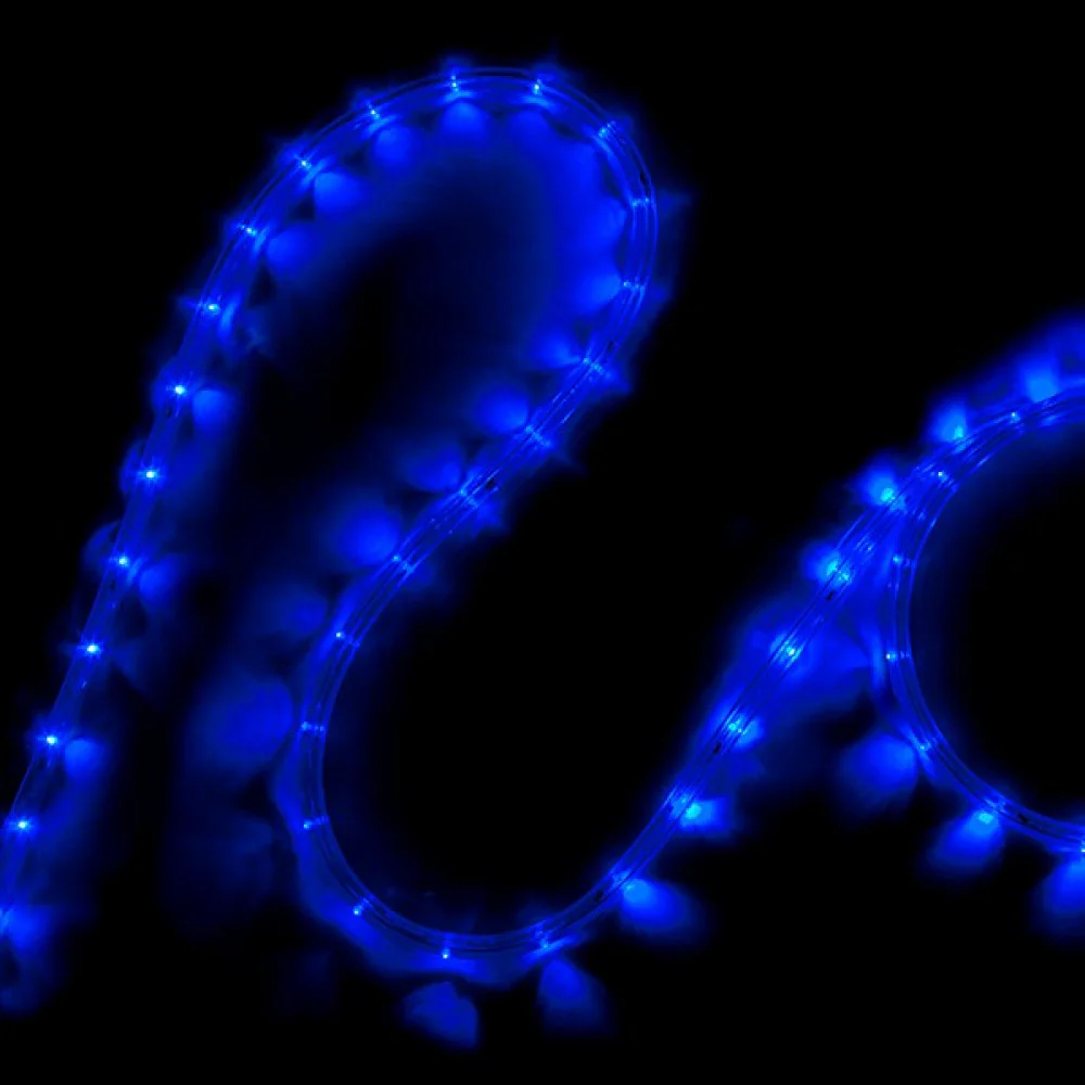 Cordón LED 1M 24xF3/M 220VAC IP65 Azul 40.000H [CA-COR-220-B - Image 2
